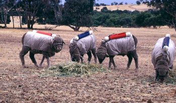 environmental compliance audit