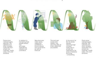 sustainability reporting